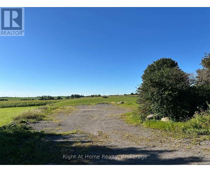 A dirt road leads through a grassy field with a tree on the right.