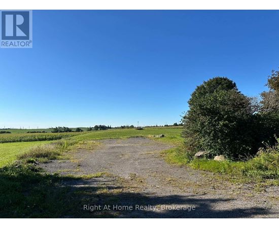 A dirt road leads through a grassy field with a tree on the right.