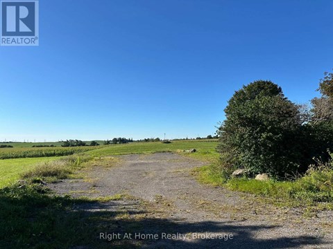 A dirt road leads through a grassy field with a tree on the right.