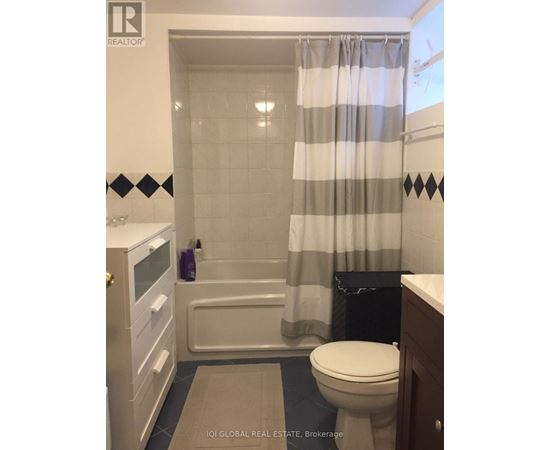 A bathroom with a toilet, a bathtub, and a shower curtain.