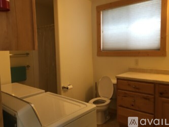 A bathroom with a toilet, sink, and window.