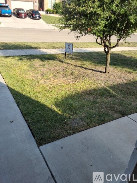A small tree is planted in a grassy area in front of a sign.