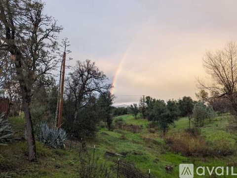 A rainbow appears in the sky over a grassy field.