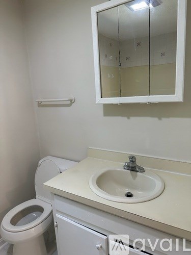 A white toilet sits next to a sink in a bathroom.