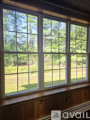 A window with a view of a grassy field.