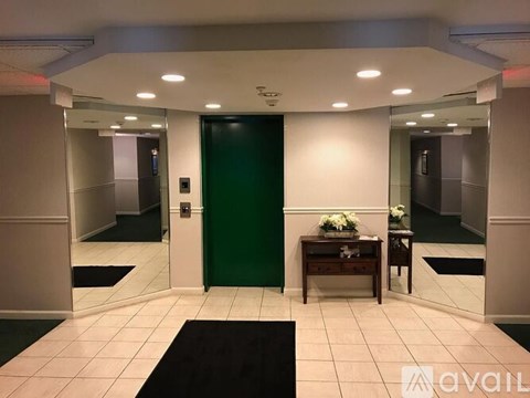 A hallway with a green door and a black and white rug.