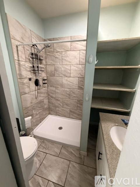 A bathroom with a walk in shower and a toilet.