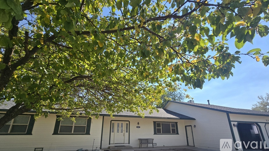 A tree with green leaves is in front of a white house with a black roof.