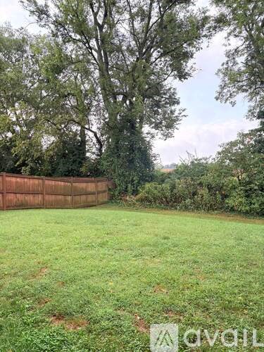 A backyard with a wooden fence and green grass.