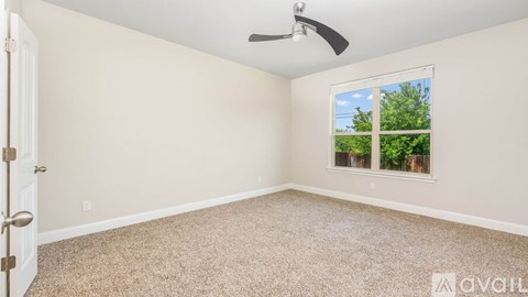 A room with a carpeted floor, a ceiling fan, and a window showing trees outside.