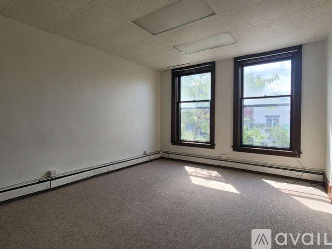 A room with a carpeted floor, two windows, and a ceiling light fixture.
