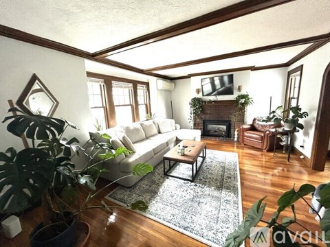 A living room with a couch, coffee table, and plants.