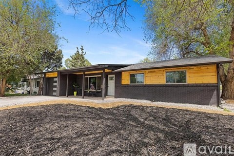 A modern house with a black and yellow exterior is surrounded by trees.