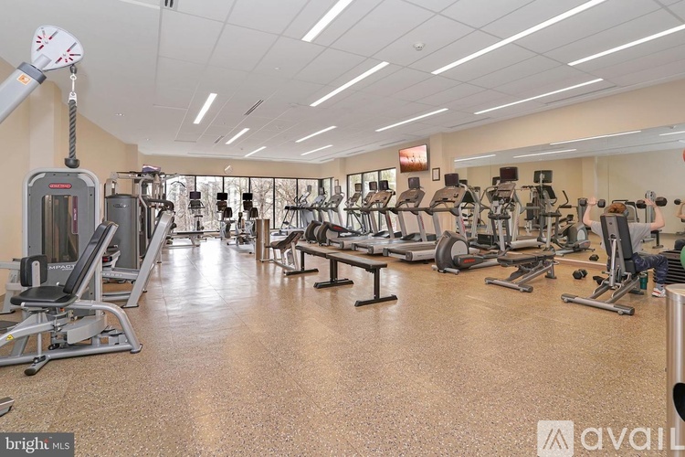 5903 Mount Eagle Drive 2 Beds Condo for Rent - Photo gallery 4
