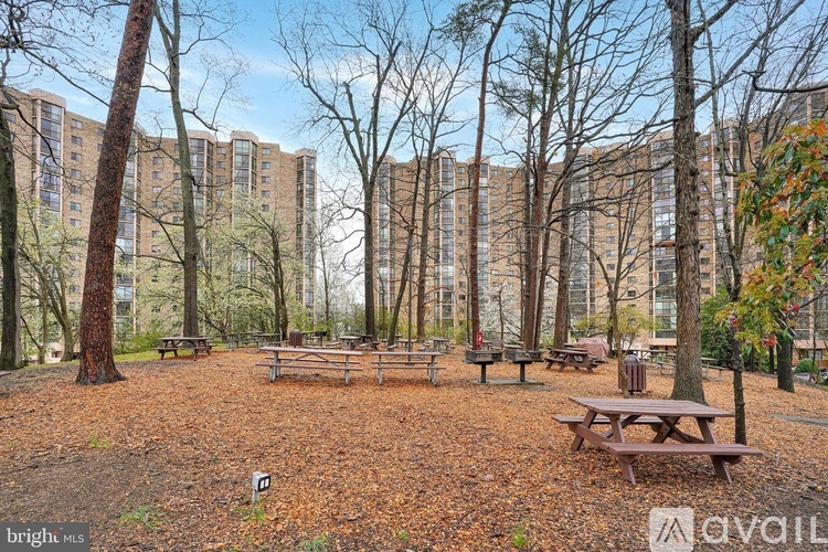5903 Mount Eagle Drive 2 Beds Condo for Rent - Photo gallery 5