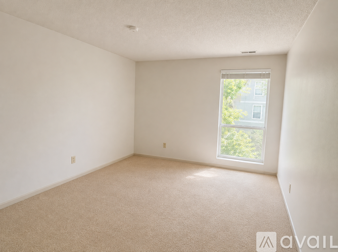 A room with a carpeted floor and a window showing trees and a building outside.