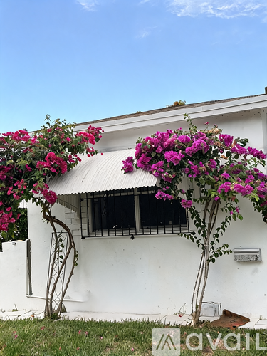 A white house with a window and a tree with pink flowers in front.