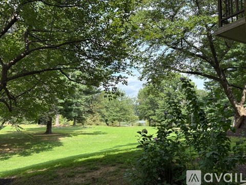 A tree-filled area with a building in the background.