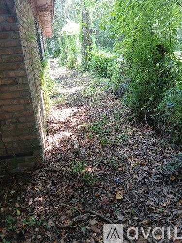 A path through a forest with a brick wall on the left.