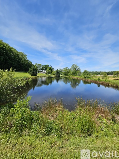 A serene landscape with a lake surrounded by greenery and a clear blue sky.
