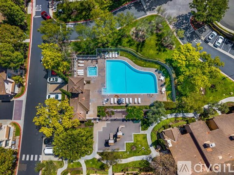 An aerial view of a swimming pool surrounded by trees and buildings.