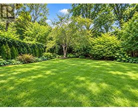 A lush green lawn surrounded by a variety of trees and shrubs.