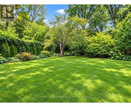 A lush green lawn surrounded by a variety of trees and shrubs.