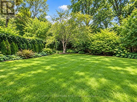 A lush green lawn surrounded by a variety of trees and shrubs.