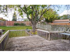 A deck with a tree in the middle of it.