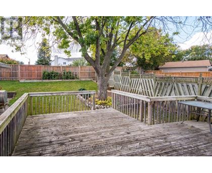 A deck with a tree in the middle of it.