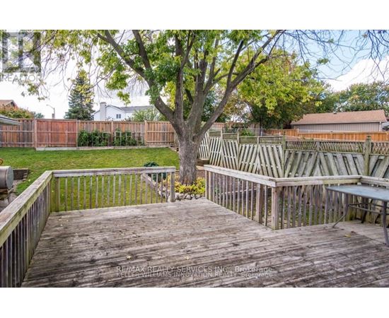A deck with a tree in the middle of it.