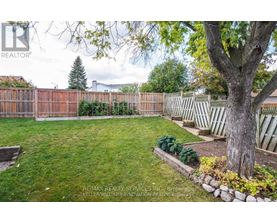 A backyard with a fence, a tree, and a small garden.