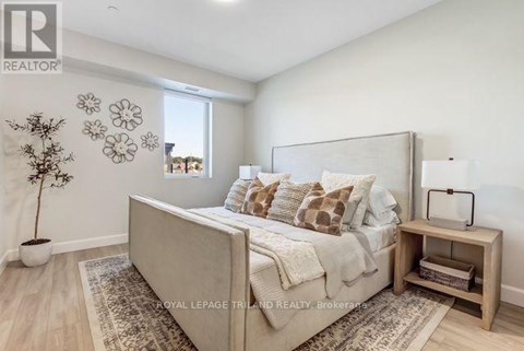 A bedroom with a large bed, a nightstand, and a plant.