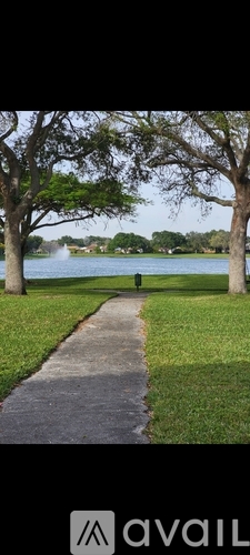 A pathway leads to a body of water with trees on either side.