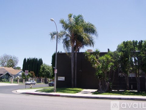 A street view with a no parking sign and a building in the background.