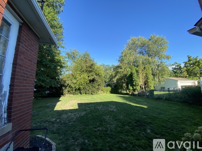A backyard with a lawn and trees.