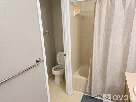 A small bathroom with a toilet, a shower with a curtain, and a door.