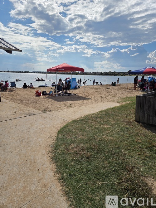 A beach scene with people and umbrellas.
