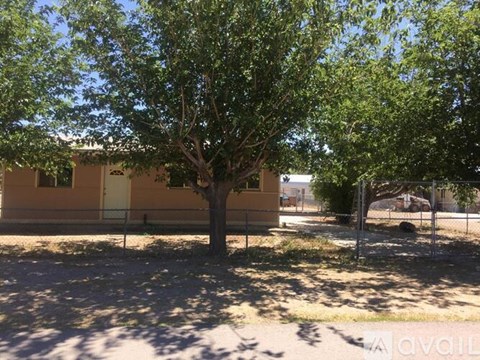 A tree stands in front of a building with a fence around it.