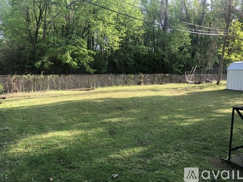 A backyard with a fence and trees in the background.