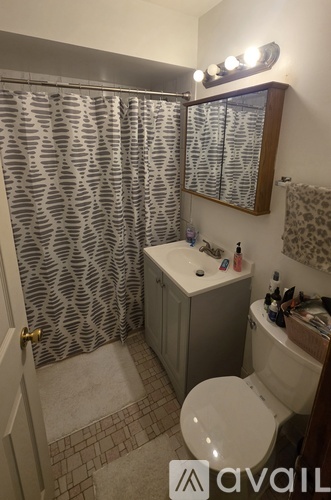 A bathroom with a toilet, sink, and shower curtain.