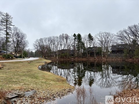 A calm pond reflects the trees and sky in a residential area.