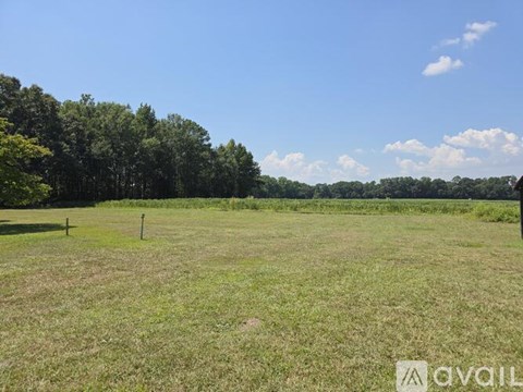 A grassy field with trees in the background and a clear blue sky.
