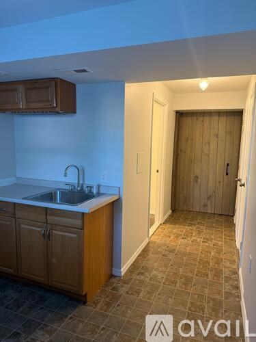 A kitchen with a sink and wooden cabinets.