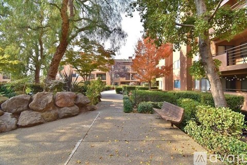 A tree-lined walkway with a bench on the side.