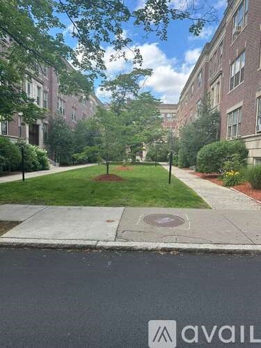 A tree-lined walkway leads to a brick building.