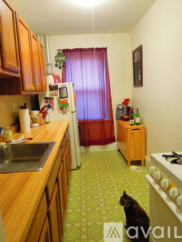 A cat sitting on the floor in a kitchen.