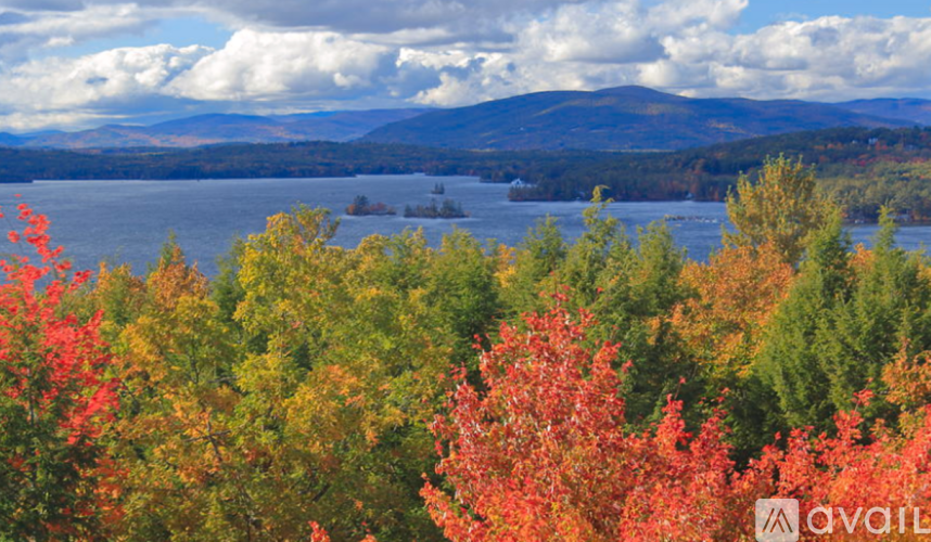 A lake surrounded by trees with autumn leaves.