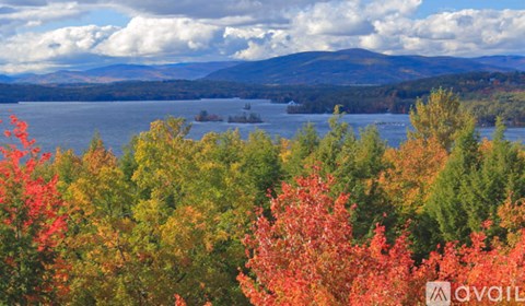A lake surrounded by trees with autumn leaves.