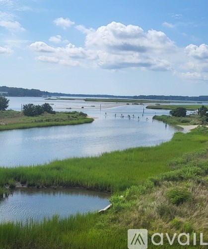 A river flows through a grassy landscape with a bridge in the distance.